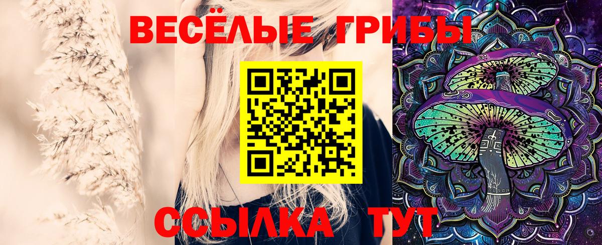 Тольятти  Галлюциногенные грибы Psilocybe  Вход с VPN 
