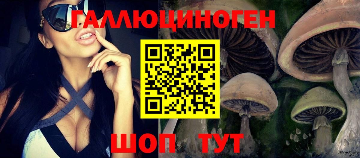 Псилоцибиновые грибы Cubensis Тольятти